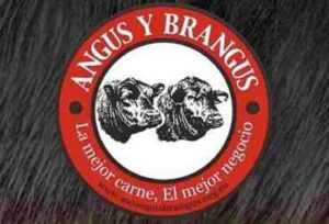 Ganadería Angus: Plan de inicio de negocios para principiantes