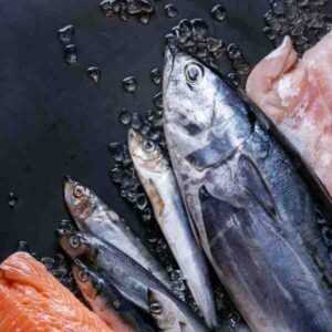 Pescado de jurel: características, dieta, cría y usos