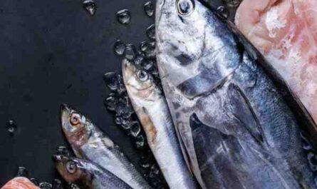 Pescado de jurel: características, dieta, cría y usos