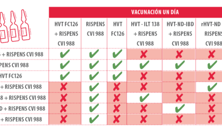 Vacunas avícolas: diferentes tipos de vacunas para aves de corral