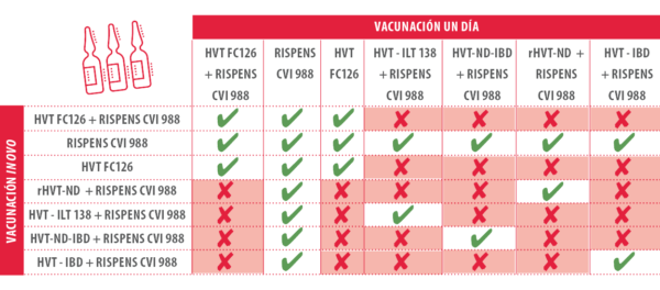 Vacunas avícolas: diferentes tipos de vacunas para aves de corral