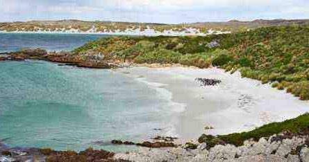 6 idées d'affaires florissantes aux îles Falkland