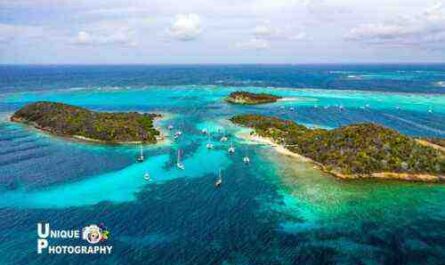 6 idées d'affaires solides à Saint-Vincent-et-les Grenadines