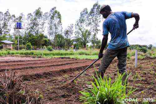 Comment obtenir un prêt agricole au Nigeria – conditions, demande, enregistrement