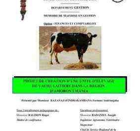 Exemple de business plan pour l'élevage laitier