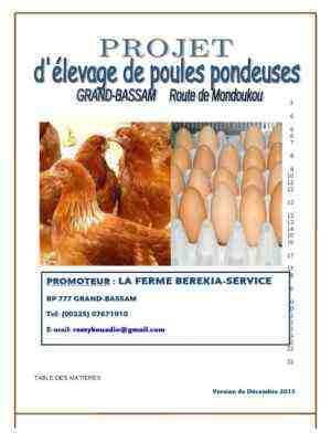 Exemple de plan d’affaires d’une écloserie d’œufs de poule