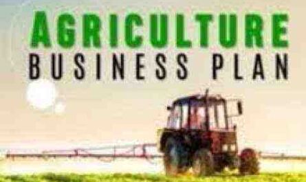 Exemple de plan d'affaires pour l'agriculture commerciale