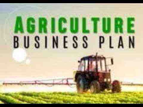 Exemple de plan d'affaires pour l'agriculture commerciale