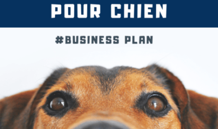 Exemple de plan d'affaires pour une compagnie d'assurance pour animaux de compagnie