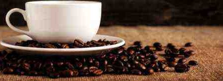 Quelle est la rentabilité de l'activité de torréfaction du café?