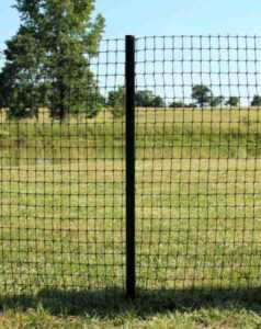 Clôture pour chèvres : tout ce que vous devez savoir sur la clôture pour chèvres