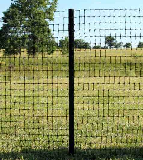 Clôture pour chèvres : tout ce que vous devez savoir sur la clôture pour chèvres