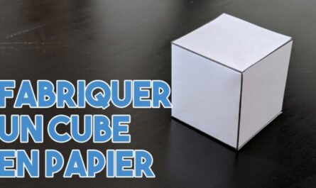 Comment construire des cubes de poulailler: Guide d'affaires pour les débutants