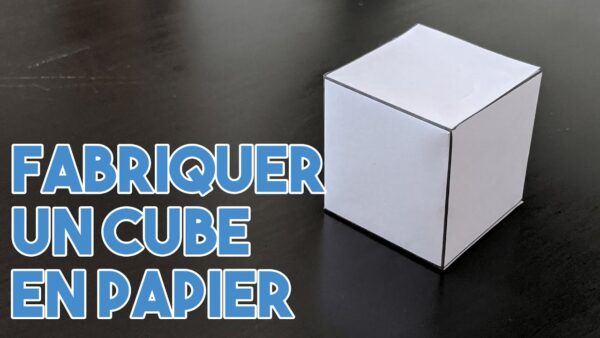 Comment construire des cubes de poulailler: Guide d’affaires pour les débutants