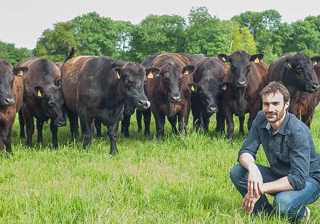 Élevage de bovins Angus : plan de démarrage d’entreprise pour les débutants