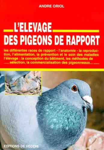 Élever des pigeons : Guide d'affaires complet pour les débutants