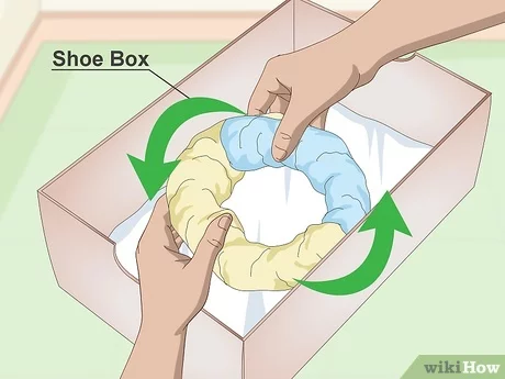 Faire éclore des œufs de caille: Comment faire éclore des œufs de caille Guide du débutant
