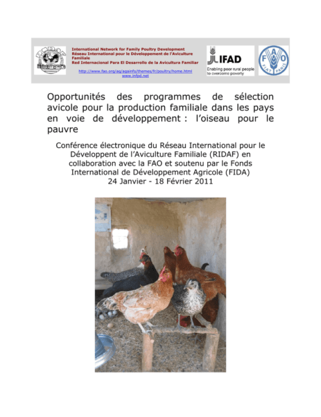 L'aviculture en Inde : une entreprise rentable pour les débutants
