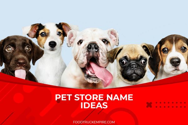 150 Dog Grooming Name Ideas that Boost Sales