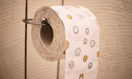 Contoh rencana bisnis produksi kertas toilet (toilet paper)