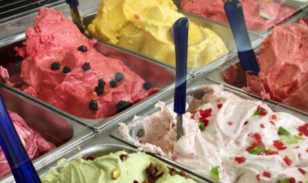 Contoh rencana bisnis untuk kedai es krim (salon)
