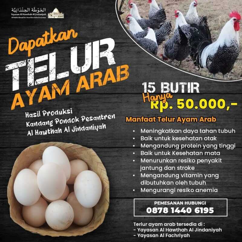 Apakah memiliki ayam jantan meningkatkan produksi telur?