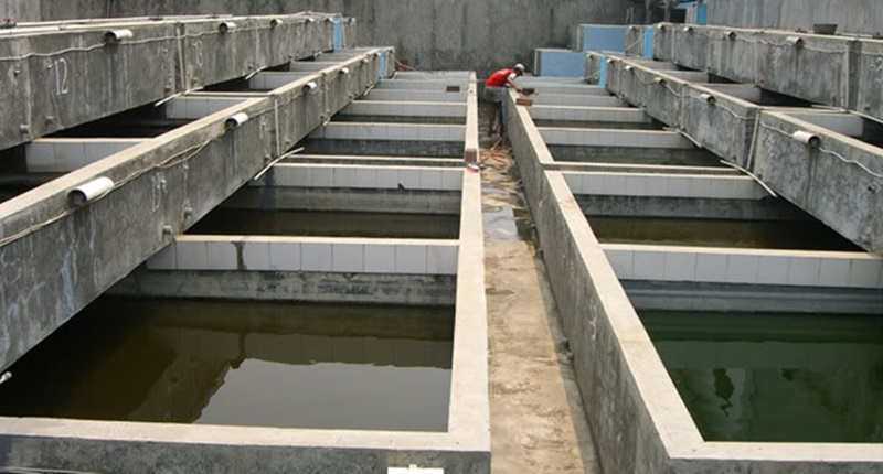 Biaya konstruksi kolam ikan: struktur tanah dan beton