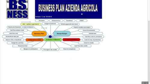 Esempio di business plan della distilleria