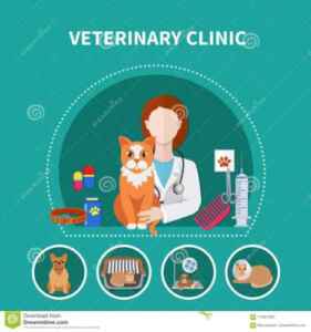 Esempio di piano aziendale della clinica veterinaria