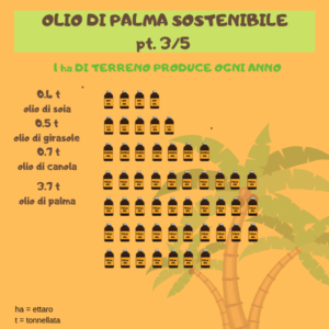 Esempio di piano aziendale per la lavorazione dell'olio di palma