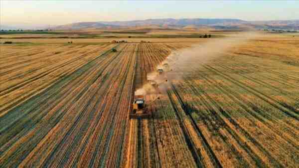 Agricoltura della Turchia in India: guida all'avvio di attività redditizie