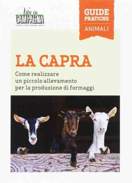 Attività di allevamento di capre da carne: informazioni complete e guida per principianti