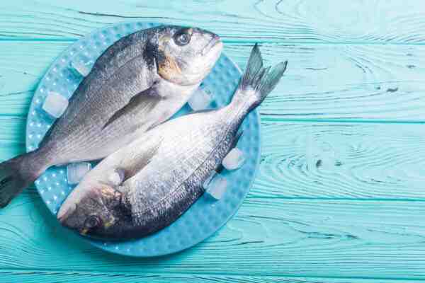 Pesce Catla: caratteristiche, alimentazione, allevamento e informazioni complete