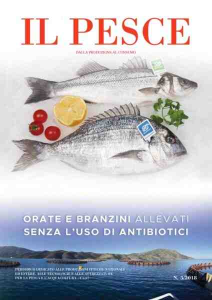 Pesce scad obeso: caratteristiche, dieta, allevamento e usi