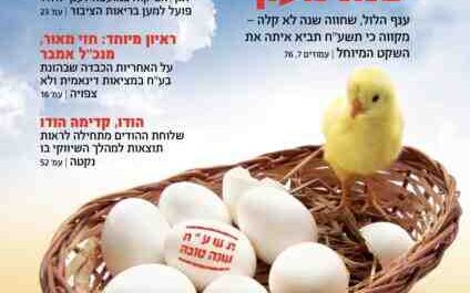 באיזו שעה עופות מטילים ביצים: אתה צריך לדעת