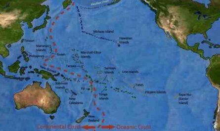 דגי ההייק בצפון האוקיינוס ​​השקט: מאפיינים, דיאטה, רבייה ושימושים