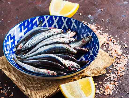 דגי סרדין שמן הודי: מאפיינים, דיאטה, רבייה ושימושים