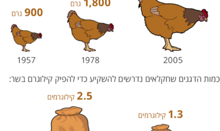 הזנת עופות: מדריך להזנת עופות למקסימום בשר וביצים