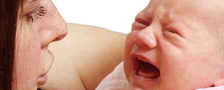 כיצד לטפל בעיזים תינוקות: מדריך לטיפול בילדי עזים