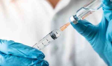 לוח חיסונים לעזים: מדריך למתחילים לחיסון עזים