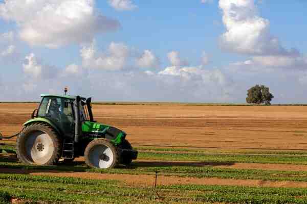 צמיחה שחורה שחורה: עסק חקלאות אורד דאל למתחילים