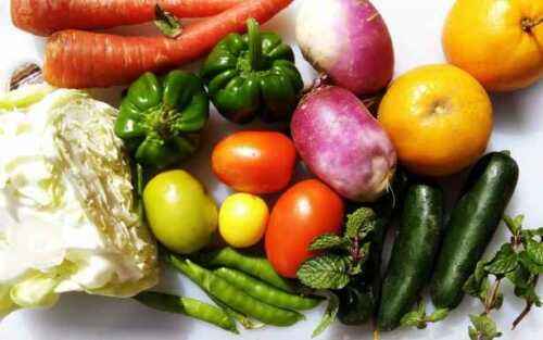 果物と野菜の輸出のためのサンプル事業計画