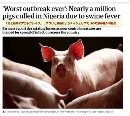 ナイジェリアで養豚を始める方法