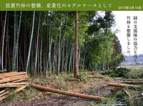 竹を育てる事業計画の例