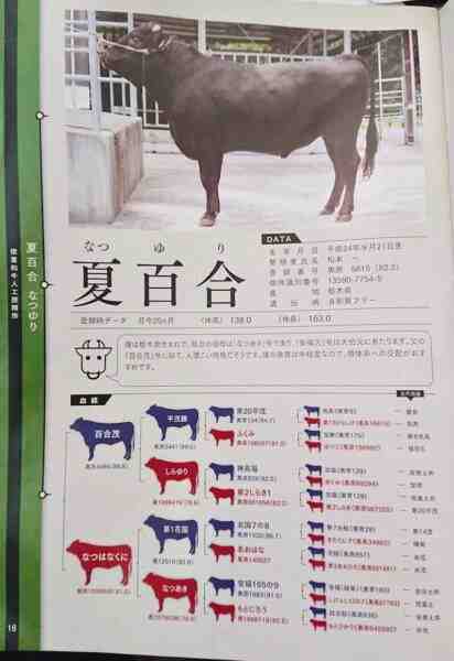 ゆりの牛：特徴、用途、完全な品種情報