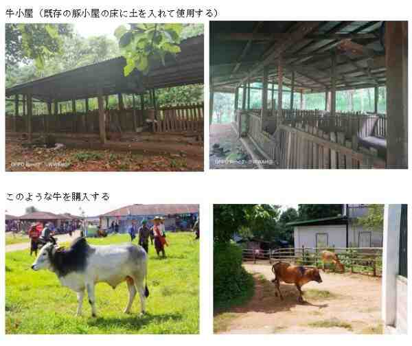 オーブラック牛の飼育：初心者のための事業開始計画