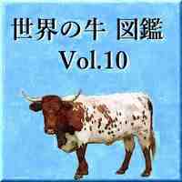 ベルモント赤牛：特徴と品種情報