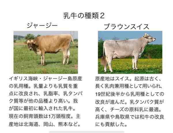 乳用山羊の品種：牛乳生産に最適な10の品種