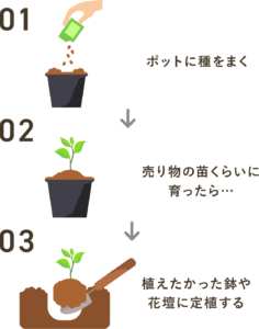水耕栽培の緑の飼料：成長す​​る方法（ステップバイステップガイド）