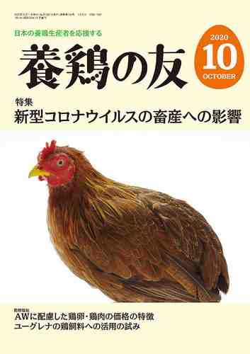 養鶏：初心者のための完全な情報とヒント